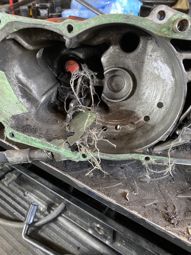 写真 2020-05-01 9 20 44