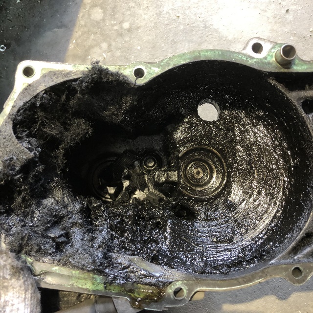 写真 2020-04-04 16 20 43