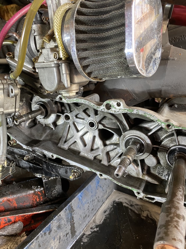 写真 2020-05-01 10 06 02