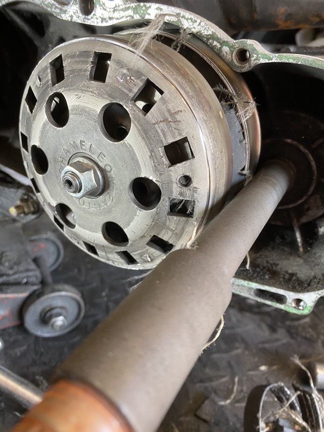 写真 2020-05-01 9 20 41