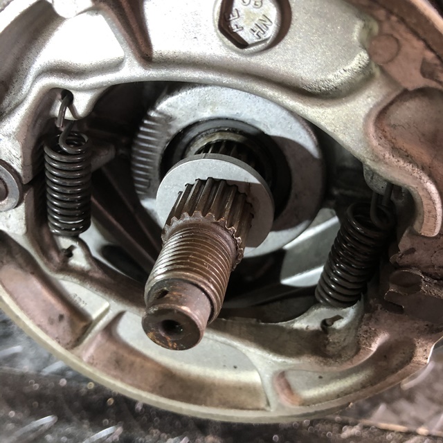 写真 2020-03-22 9 35 05