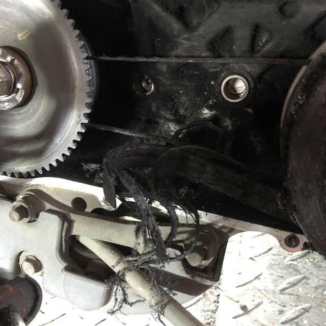 写真 2020-04-04 16 20 33